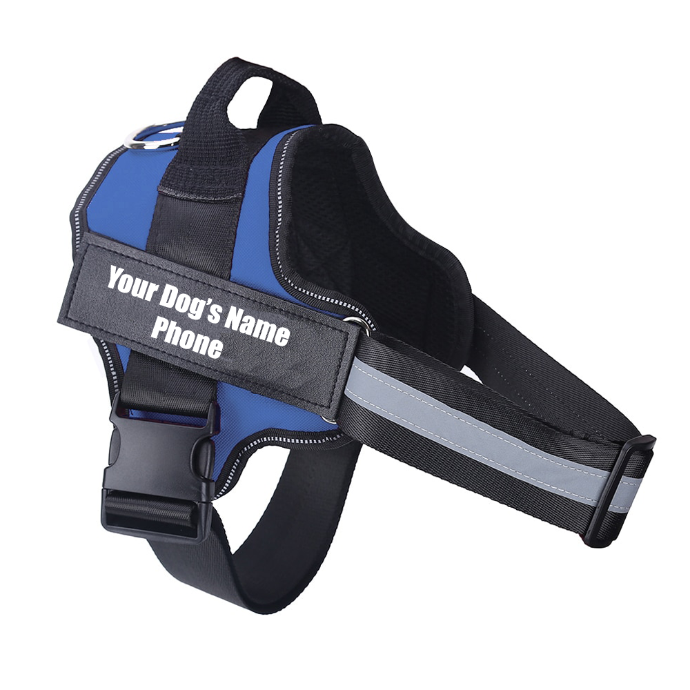 dog-harness-blue-with-anme