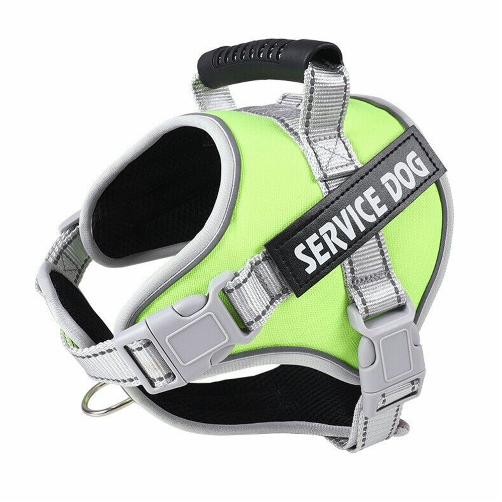 personalized-dogs-harness-green