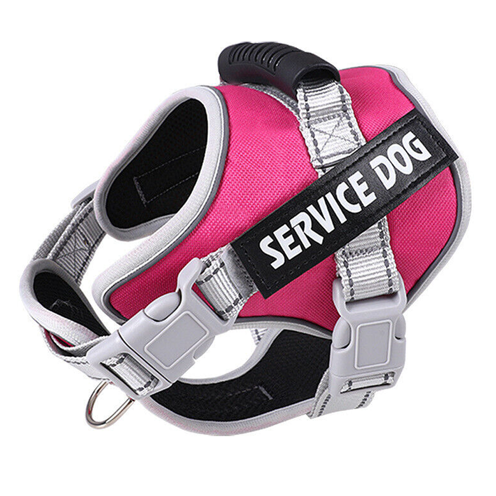 personalized-dogs-harness-pink