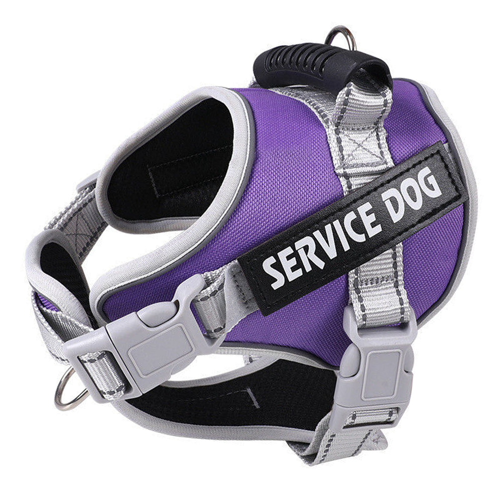 personalized-dogs-harness-purple