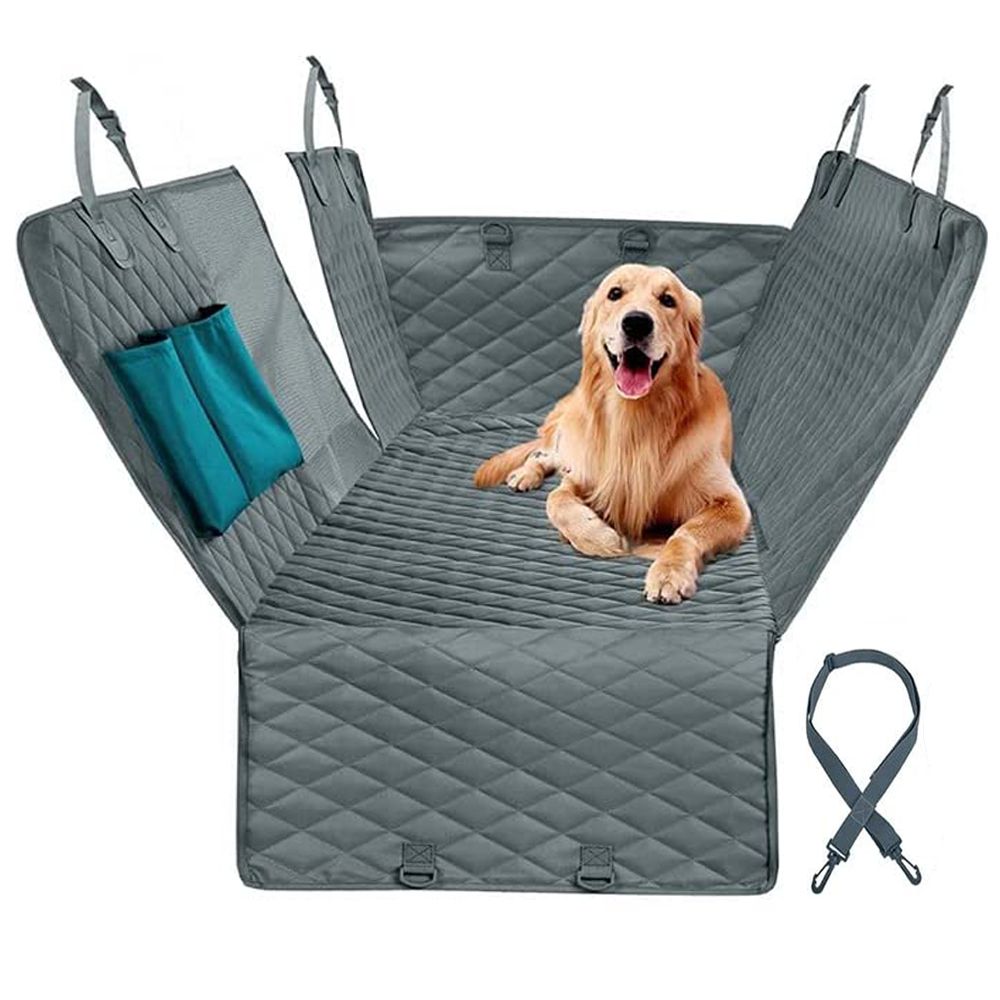 Best Dog Car Seat And Why You Need One.