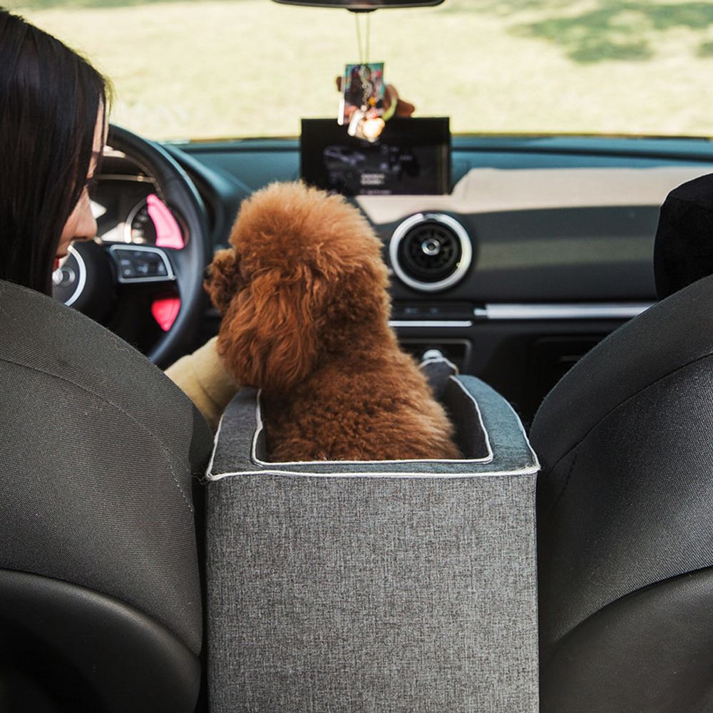Dog Car Booster Seats: A must have for all dog parents
