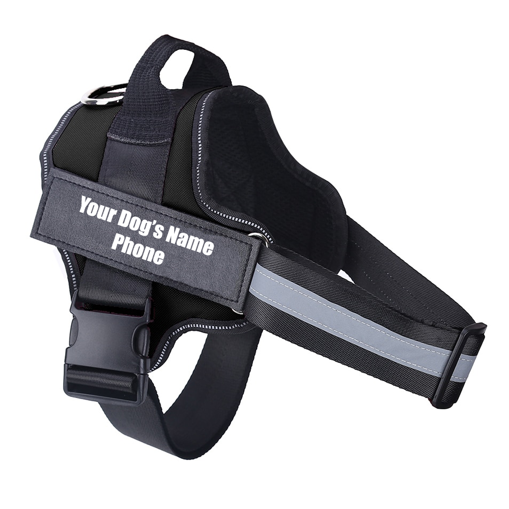 No Pull Dog Harness With Name
