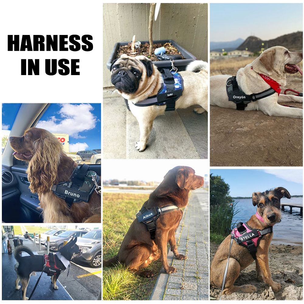 dog-harness-no-pull