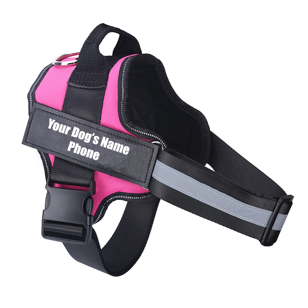 dog-harness-pink-with-name