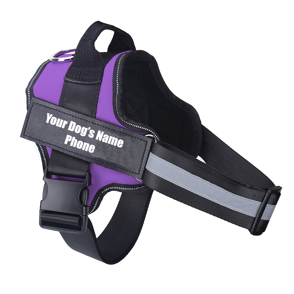 dog-harness-purple-with-name