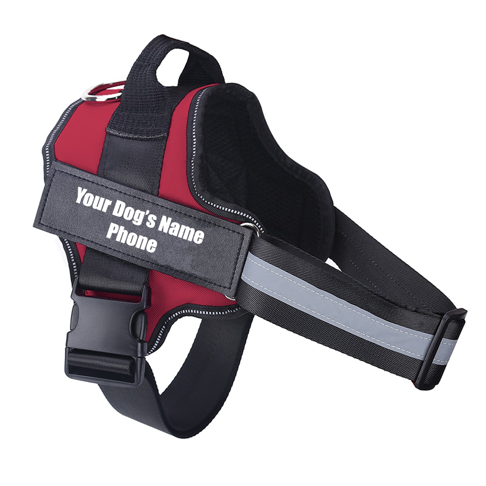 dog-harness-red-with-name